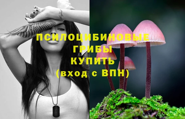 ГАЛЛЮЦИНОГЕННЫЕ ГРИБЫ Вяземский